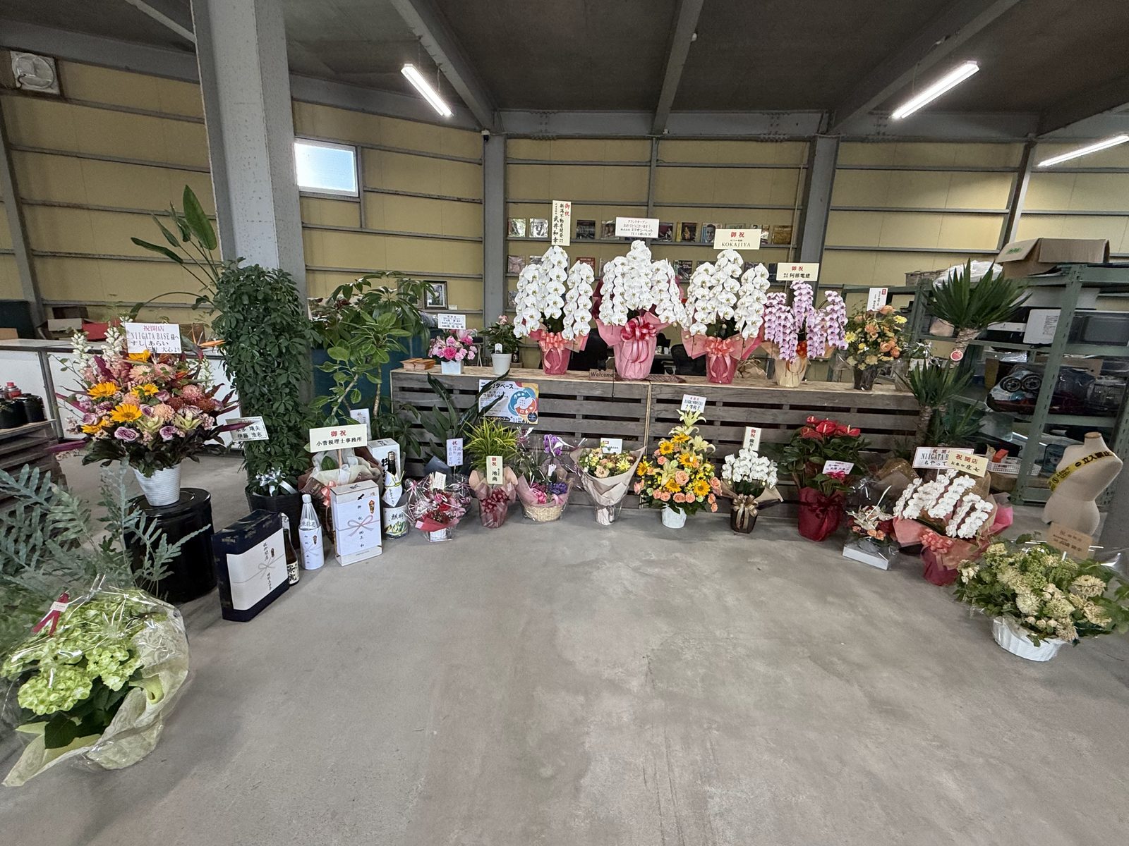 オープン当日：店内に並ぶ観葉植物と花