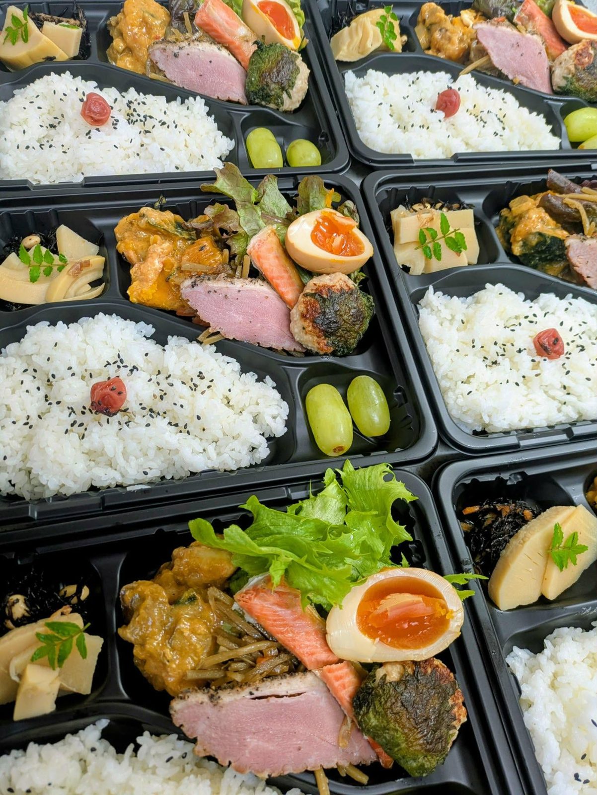 ご飯とおかずが彩りよく詰められたお弁当が複数並んでいる様子