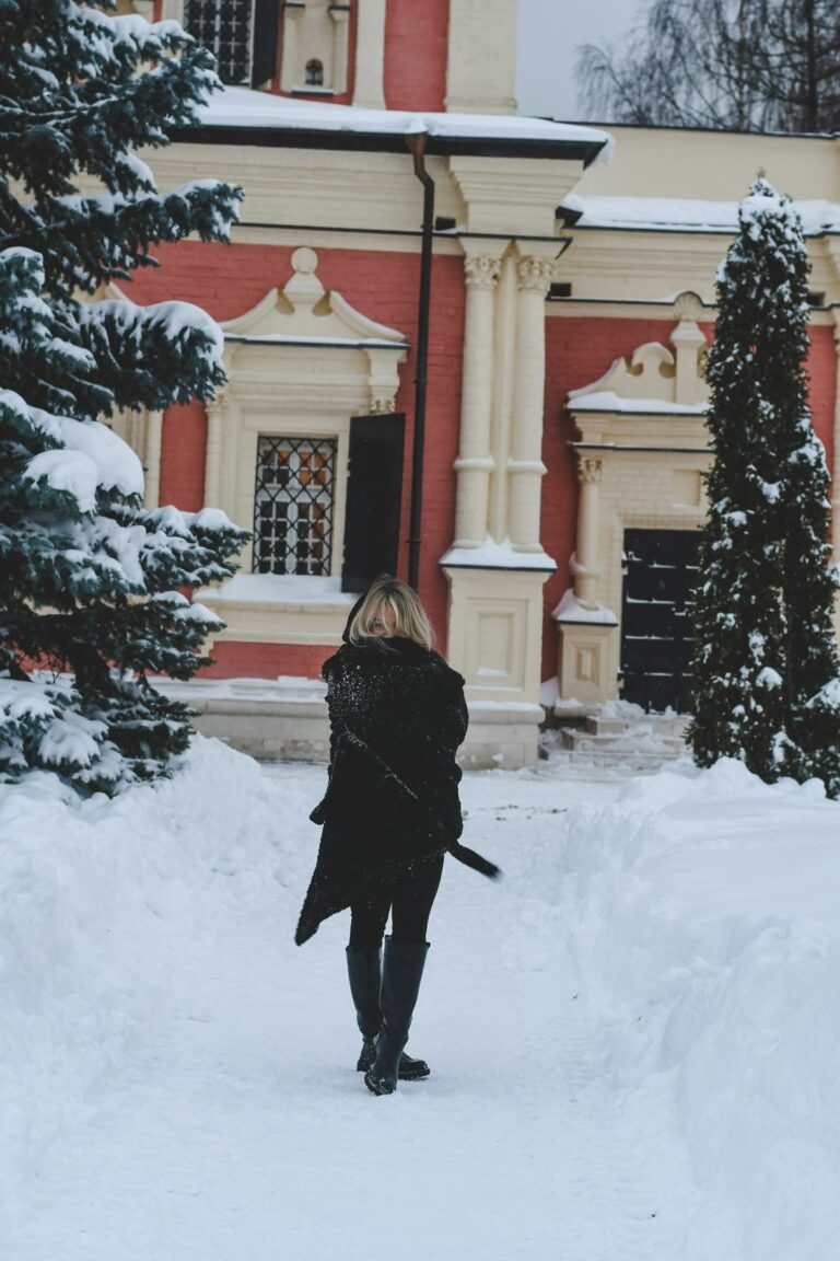 雪の積もった道を、黒いコートの人が歩いていく後ろ姿。
