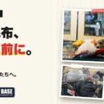 新潟の毛布の捨て方｜古い毛布、捨てる前に。次に使う人へ、保護された動物たちへのアイキャッチ画像