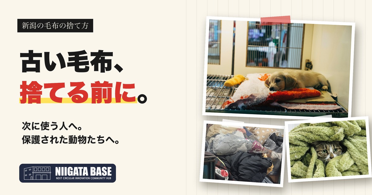 新潟の毛布の捨て方｜古い毛布、捨てる前に。次に使う人へ、保護された動物たちへのアイキャッチ画像